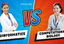 Bioinformatics vs Computational Biology
