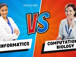Bioinformatics vs Computational Biology