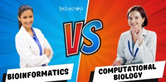 Bioinformatics vs Computational Biology