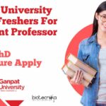 Ganpat University Assistant Professor Job