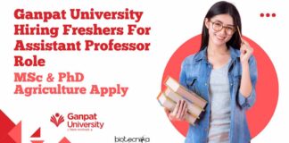 Ganpat University Assistant Professor Job