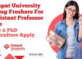 Ganpat University Assistant Professor Job