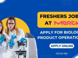 Merck Freshers Life Sciences Jobs