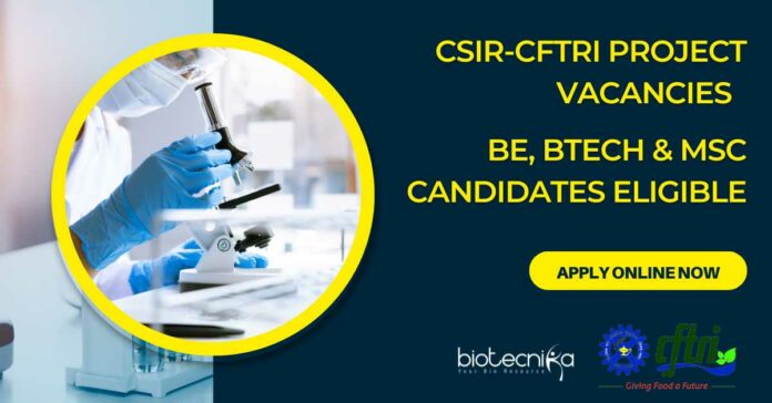 CSIR-CFTRI Project Vacancies - BE, BTech & MSc Candidates Apply Online