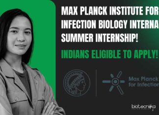 Max Planck Institute Summer Internship