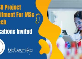 JNCASR Project Recruitment 2024