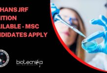 NIMHANS JRF Position Notification