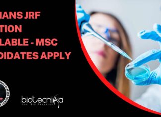 NIMHANS JRF Position Notification