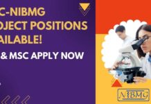 BRIC-NIBMG Project Positions Available!