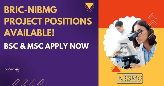 BRIC-NIBMG Project Positions Available!