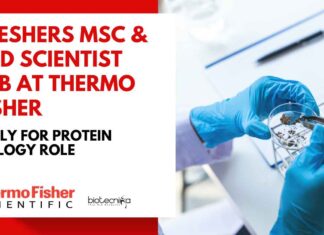 Freshers MSc & PhD Scientist Job