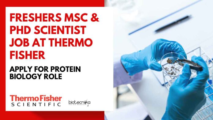 Freshers MSc & PhD Scientist Job