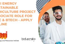 TERI Energy Project Jobs