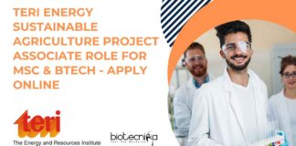 TERI Energy Project Jobs