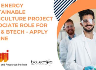 TERI Energy Project Jobs