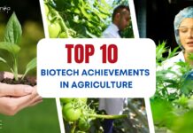 Top 10 Biotech Achievements in Agriculture