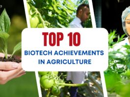 Top 10 Biotech Achievements in Agriculture