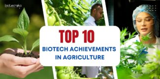 Top 10 Biotech Achievements in Agriculture