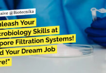 Freshers BSc Biotechnology Jobs