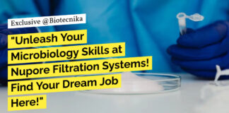 Freshers BSc Biotechnology Jobs
