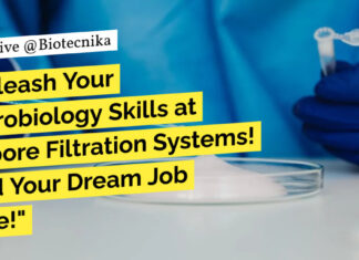 Freshers BSc Biotechnology Jobs