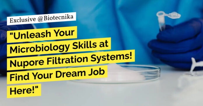 Freshers BSc Biotechnology Jobs