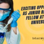 Amity University AIETSM JRF Jobs