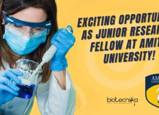 Amity University AIETSM JRF Jobs