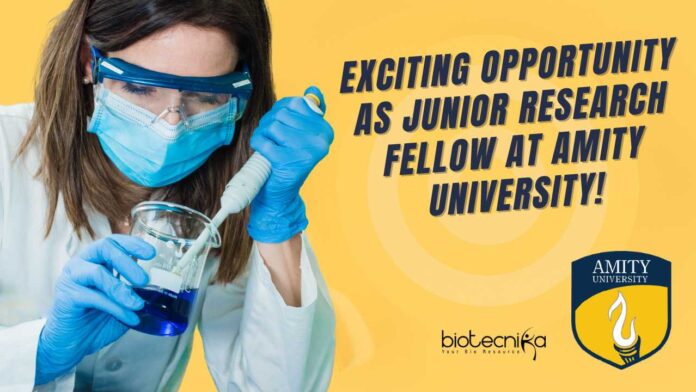 Amity University AIETSM JRF Jobs