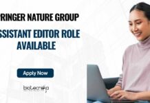 Springer Nature Group Editor Role