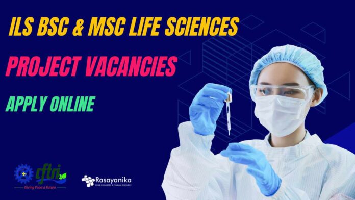 ILS Project Vacancies For Life Sciences