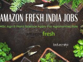 Amazon Fresh India Jobs