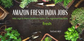 Amazon Fresh India Jobs