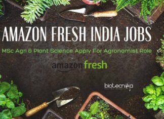 Amazon Fresh India Jobs – MSc Agri & Plant Science Apply For Agronomist Role Amazon Fresh India Jobs