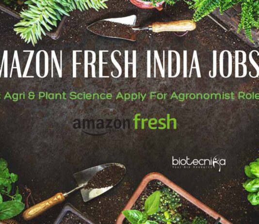 Amazon Fresh India Jobs