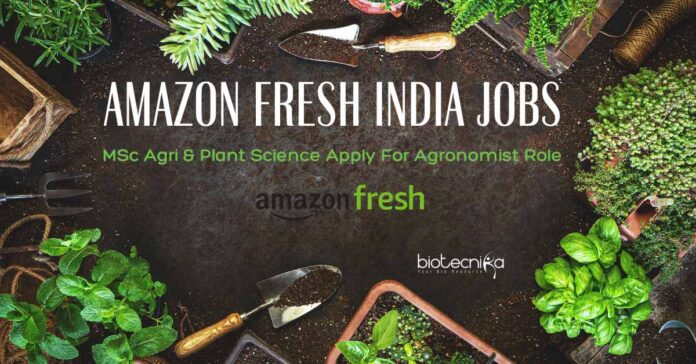 Amazon Fresh India Jobs