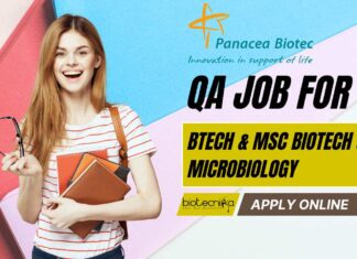 Panacea Biotec QA Vacancy