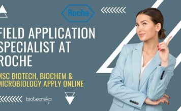 Roche Biotech Jobs