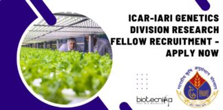 IARI Genetics Project Vacancy