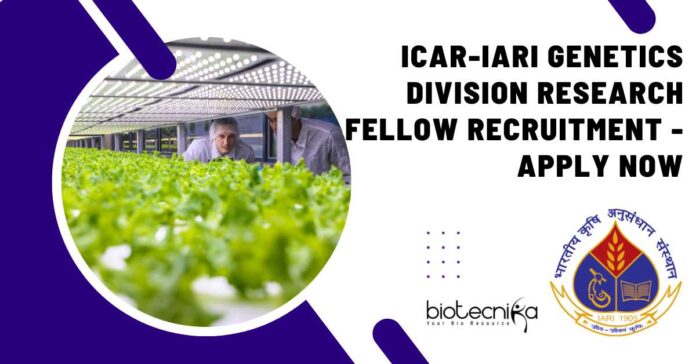 IARI Genetics Project Vacancy