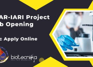 ICAR-IARI Project Job Opening