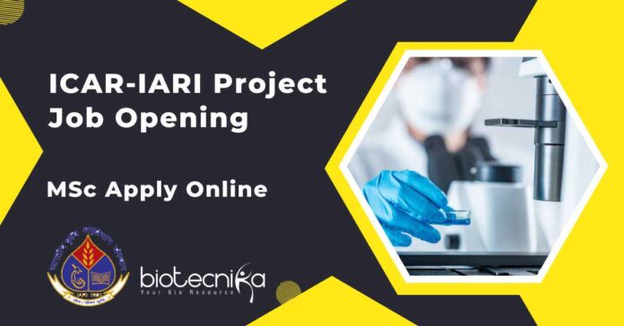 ICAR-IARI Project Job Opening