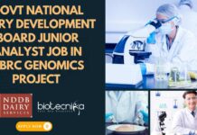 NDDB Project Jobs