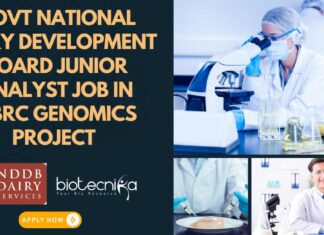 NDDB Project Jobs