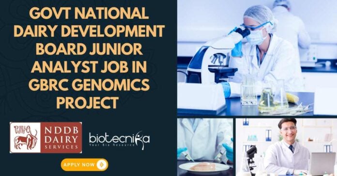 NDDB Project Jobs