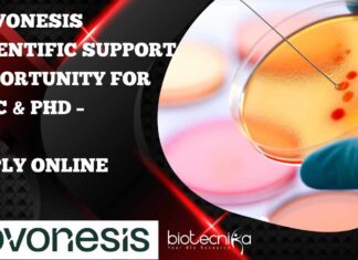 Novonesis Scientific Support Vacancy For MSc & PhD - Apply Online