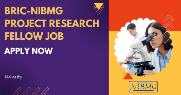 BRIC-NIBMG Project Research Fellow Job