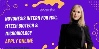 Novonesis Intern Vacancies For MSc, MTech Biotech & Microbiology, Apply Online