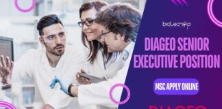 Diageo Senior Executive Position