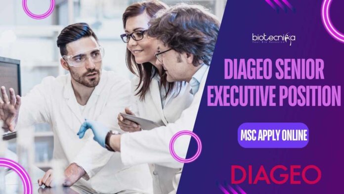 Diageo Senior Executive Position